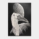[การตกแต่งผนัง (ผนังผนัง)] Kiriken Bird Queen (Cassowary) | Masayo Fukuda | ตัดออก