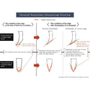 [廚房（廚師）刀] Honba-Zuke | Sakai鍛造刀片