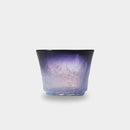 [Sake Cup] ชุดอาหารเรียกน้ำย่อยของ Aomori 4 | Tsugaru Vidro | aderia