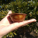 [SAKE CUP]  GUINOMI WOODEN SAKE CUP 2-PIECE SET | NIIGATA LACQUERWARE