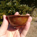 [SAKE CUP] OCHOKO / GUINOMI (NATURAL) | KOBAYASHI BUDDHIST ALTAR | NIIGATA LACQUERWARE