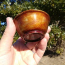 [SAKE CUP] OCHOKO / GUINOMI (NATURAL) | KOBAYASHI BUDDHIST ALTAR | NIIGATA LACQUERWARE