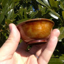 [SAKE CUP] OCHOKO / GUINOMI (NATURAL) | KOBAYASHI BUDDHIST ALTAR | NIIGATA LACQUERWARE