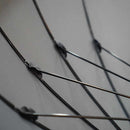 [雨傘]帝國家庭機構邊境的女性提供者l折疊（玫瑰）| Maehara Koei射擊|東京傘