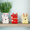 [BECKONING (Lucky) 고양이] Maneki Neko Feng Shui DX Red (M) | 에도 아트 인형