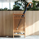 [UMBRELLA STAND] AKITA CEDAR LATTICEWORK UMBRELLA STAND | WOODWORKING