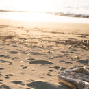 [젓가락] Wenge 옥타곤 하시 쿠라 계절 01 베이지 (22.5cm) | 마쓰칸 | 와카 사 칠기