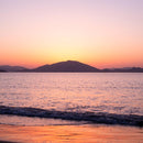 [筷子] Wenge Octagon Hashikura Sears01 Pink（22.5cm）|松山|瓦卡薩漆器