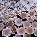 [CHOPSTICKS] WENGE OCTAGON HASHIKURA SEASON01 PURPLE (WITH CHOPSTICK REST) | WAKASA LACQUERED CHOPSTICKS | MATSUKAN