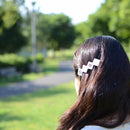 [附件] Renwa圖案水印valletta銀| Owari Butsugu