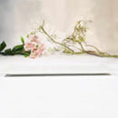 [LARGE PLATE (PLATTER)] COMB SAURY PLATE WHITE | MARUMO KATO POTTERY | MINO WARES