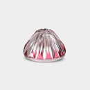 [Sake Cup] Mt Fuji Cup (สีแดงสีแดง) Red Fuji Paulownia Box | Satuma Vidro | Satsuma Cut Glass