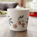[MUG (CUP)] BOTANICAL (FRUIT) MUG CUP | COLOR & DESIGN CHANGE | MINO WARES | MARUMO TAKAGI