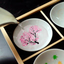 [SAKE CUP] 9 PIECES SET SHUN JAPAN JAPANESE TRADITION MAGIC | MINO WARES | MARUMO TAKAGI