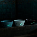 [ชาม] Cat 13 cm Luminous Bowl (สีน้ำตาล) | Mino Wares | Marumo Takagi