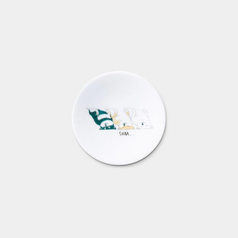[작은 접시 (플레이트)] 편안한 개 세트 5 | 미노 상품 | 마루모 타카기