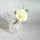 [VASE] ICHIRINZASHI WHITE | GLASS STUDIO IZUMO | BLOWN GLASS (2 weeks production after order)