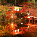 [LEATHER CASE] SHRINK BURGUNDY-RED SOFT SHRINK COWHIDE(SPECIAL ORDER COLOR) | LEATHER WORK | RAKUKEI