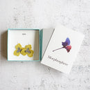 [耳環] PANSY菊花| MORPHOSPHERE |京都府宇真染色