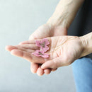 [귀걸이] 색조 팬지 이중 체리 꽃 (S) 핑크 | 교토 유젠 염색 | 모포 스피어