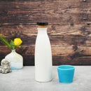 [TUMBLER / WATER BOTTLE] IONBOTTLE CANDY (WHITE) | SHIGARAKI WARE