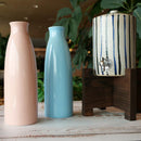 "개 MB 혀 R / 와테 R 바가지 t 혀"와보세요 등기 いおんぼっ t 혀를 물고 DY (핀 K) | 시가 라키 하나님