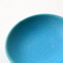 [SMALL DISH (PLATE)] TORUCO MINI | SHIGARAKI WARE
