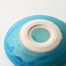 [SMALL DISH (PLATE)] TORUCO MINI | SHIGARAKI WARE