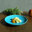 [LARGE PLATE (PLATTER)] TORUCO (22CM) | SHIGARAKI WARE