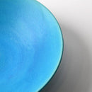 [BIG BOWL] TORUCO | SHIGARAKI WARE