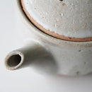 [JAPANESE TEA POT] WHITE | SHIGARAKI WARE