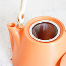 3-PIECE MINO WARE JAPANESE TEA SET - TEA POT & TEACUPS (VOYAGE ORENGE ROUSSI) | YAMATSU