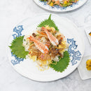 [LARGE PLATE (PLATTER)] 2 PIECES SET WESTERN DISH YOKARAKUSA | MIKAWACHI WARE | HIRADOSHOUZAN