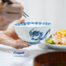 [RICE BOWL] DRAGON (S) | MIKAWACHI WARE | HIRADOSHOUZAN