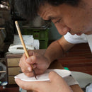 [ชุดชามข้าว] 2 ชิ้นมังกร | Mikawachi Ware | Hiradoshouzan