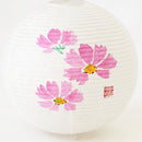 [LETTER LANTERN] COSMOS | GIFU CHOCHIN