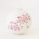 [LETTER LANTERN] CHERRY BLOSSOMS | GIFU CHOCHIN