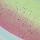 [ORIGAMI] PAPER SEASHELL BOWL SUNAGO RED | YUSHIMA-ART | DECORATIVE PAPER