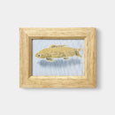 [ART] CARP | KAGA YUZEN | J.Flavor * HIROYUKI KIKUTA