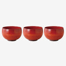 [BOWL SETS] AKAMAKI SET OF 3(RED) | HASAMI WARES| SAIKAI TOKI