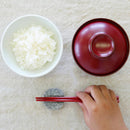 [CHOPSTICK REST (HOLDER)] CHOPSTICK RESTS FROM KAGAWA | AJI STONE | AERU