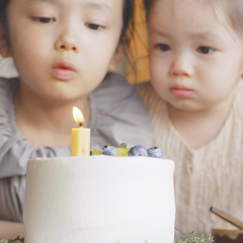[蠟燭] Shiga的Rice Bran的生日禮物蠟燭|日本蠟燭| aeru