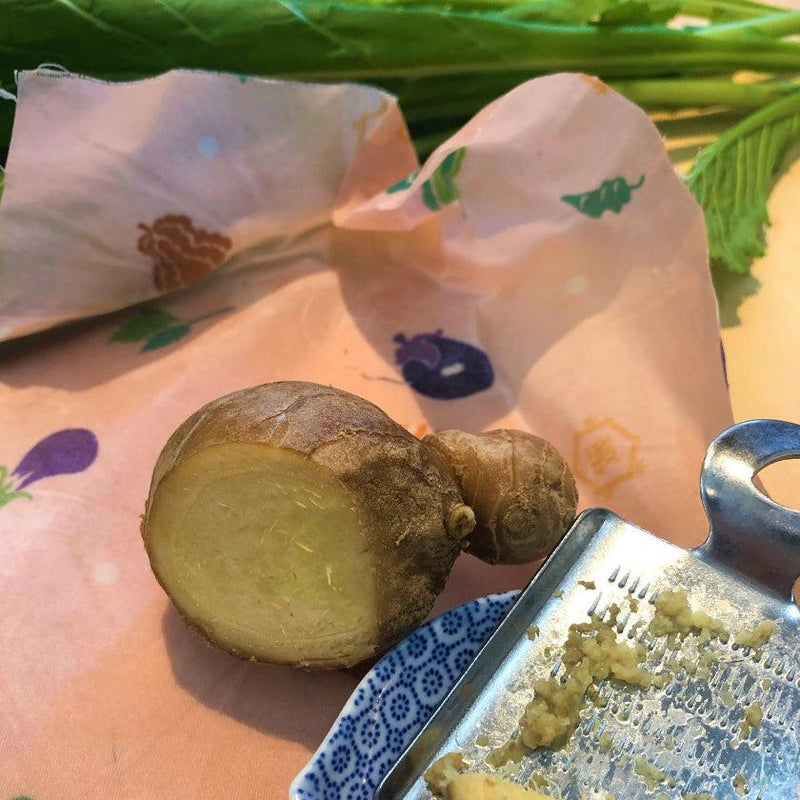 [Beeswax包裹]京都蔬菜|手工套件| Takeda Senzo商店