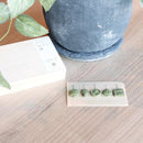 [INCENSE] MATCHA INCENSE 5 PCS. (TEA CEREMONY) | INCENSE| INCENSE KITCHEN