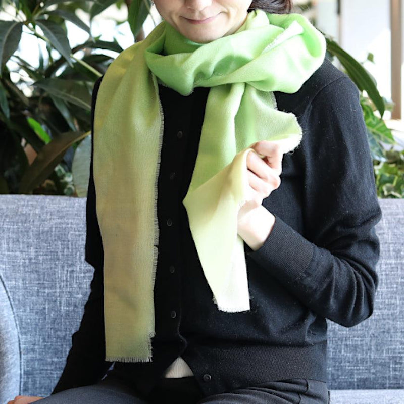 [ผ้าพันคอ] การไล่ระดับสีผสม (สีเขียวสีเขียว) S | การย้อมสี Kyo Yuzen | Nogiguchi Kihei