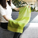 [스카프] 스트라이프 (matcha 쉐이딩) s | Kyo Yuzen Dyeing | Nogiguchi Kihei