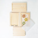 [ชั้นวาง] Kumiko M (มีสีด้านหนึ่ง) | งานไม้ Kino-sachi