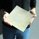 [板]正方形100金| Nishijin紡織品| Emura大喊