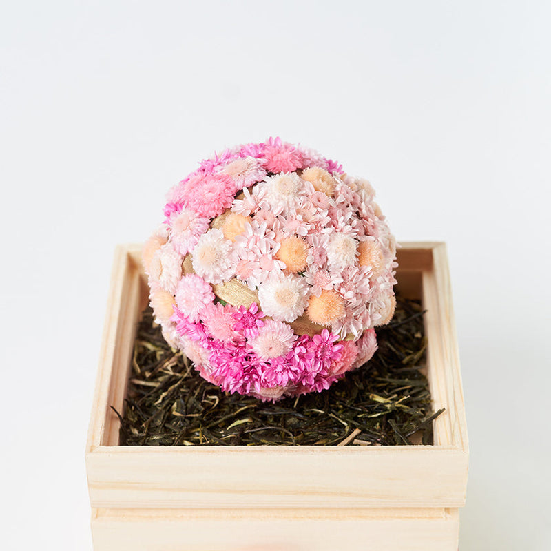 [보존 된 꽃] Chawaka Mari Sakura | 우지 차와 꽃 디자인 | 차와 카 료토 우지