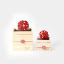 [PRESERVED FLOWER] CHAWAKA MARI RED PLUM | UJI TEA AND FLORAL DESIGN| CHAWAKA KYOTO UJI